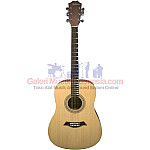 Hofmann HF100E String Acoustic Electric Guitars